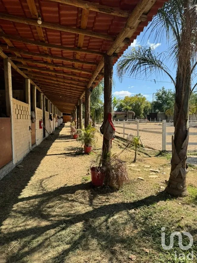 Terreno en Venta en La Trinidad, Tlalixtac de Cabrera, Oaxaca | NEX-236117 | iad México | Foto 12 de 13
