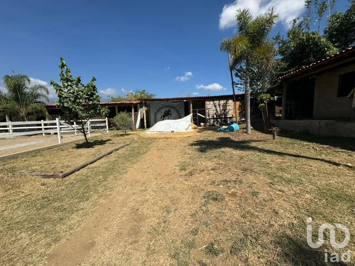 Terreno en Venta en La Trinidad, Tlalixtac de Cabrera, Oaxaca | NEX-236117 | iad México | Foto 13 de 13