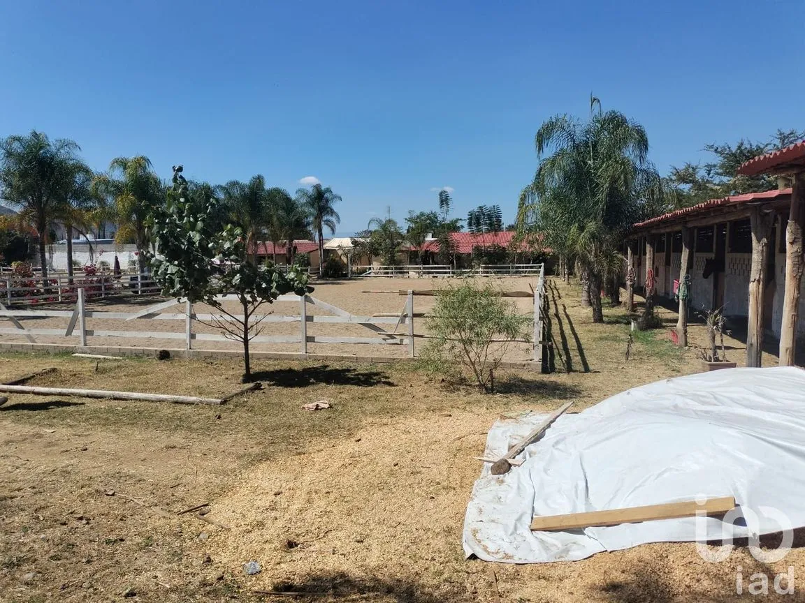 Terreno en Venta en La Trinidad, Tlalixtac de Cabrera, Oaxaca | NEX-236117 | iad México | Foto 3 de 13