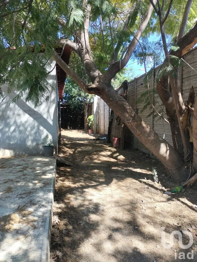 Terreno en Venta en La Trinidad, Tlalixtac de Cabrera, Oaxaca | NEX-236117 | iad México | Foto 4 de 13