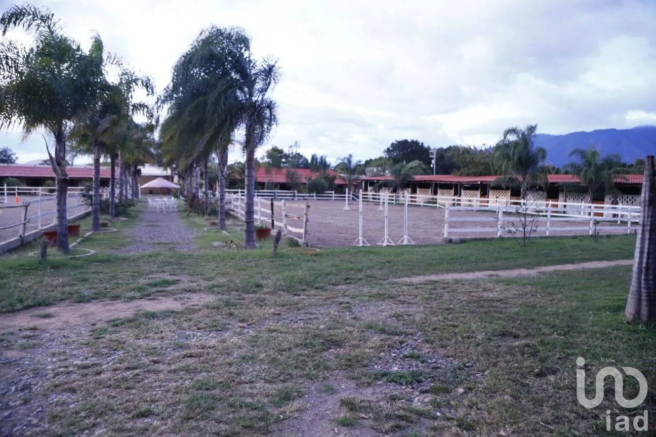Terreno en Venta en La Trinidad, Tlalixtac de Cabrera, Oaxaca | NEX-236117 | iad México | Foto 5 de 13