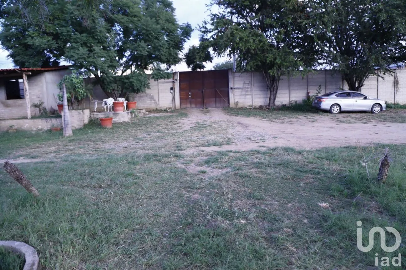 Terreno en Venta en La Trinidad, Tlalixtac de Cabrera, Oaxaca | NEX-236117 | iad México | Foto 6 de 13