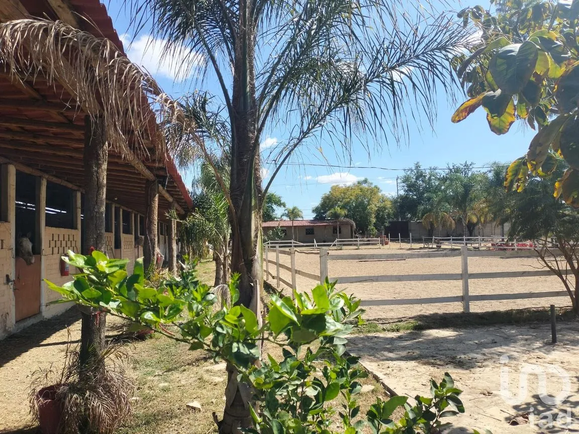 Terreno en Venta en La Trinidad, Tlalixtac de Cabrera, Oaxaca | NEX-236117 | iad México | Foto 10 de 13
