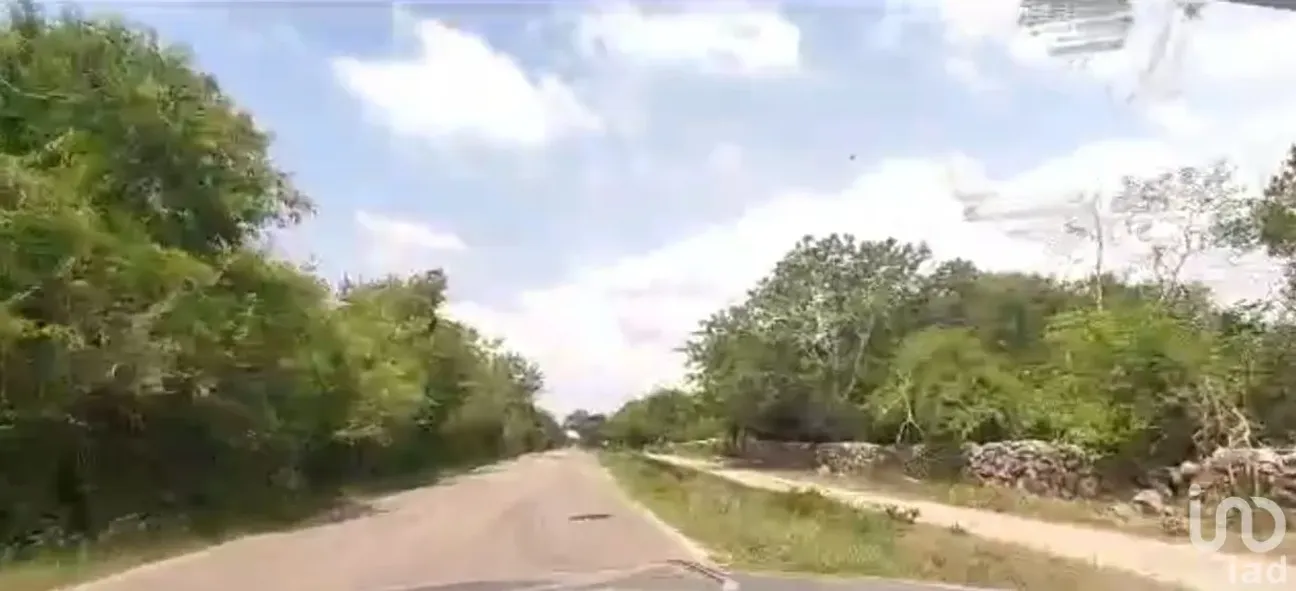 Terreno en Venta en Cosgaya, Mérida, Yucatán | NEX-182848 | iad México | Foto 10 de 15