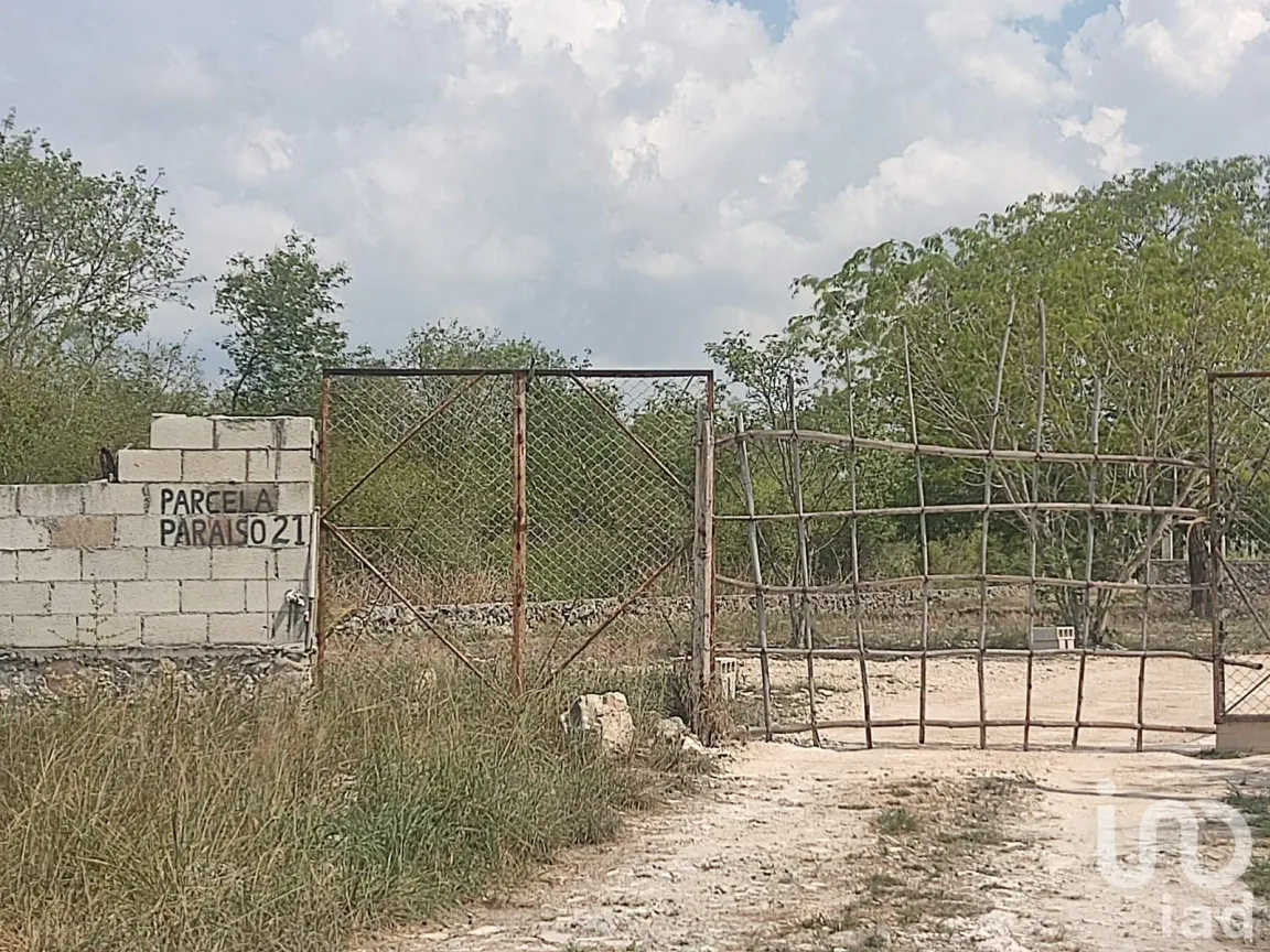Terreno en Venta en Cosgaya, Mérida, Yucatán | NEX-182848 | iad México | Foto 5 de 15