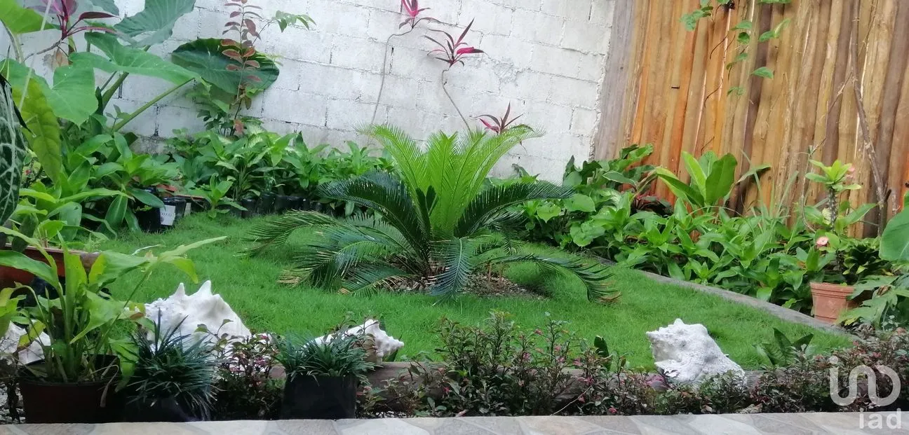 Casa en Venta en Villas La Playa, Puerto Morelos, Quintana Roo | NEX-176638 | iad México | Foto 8 de 10