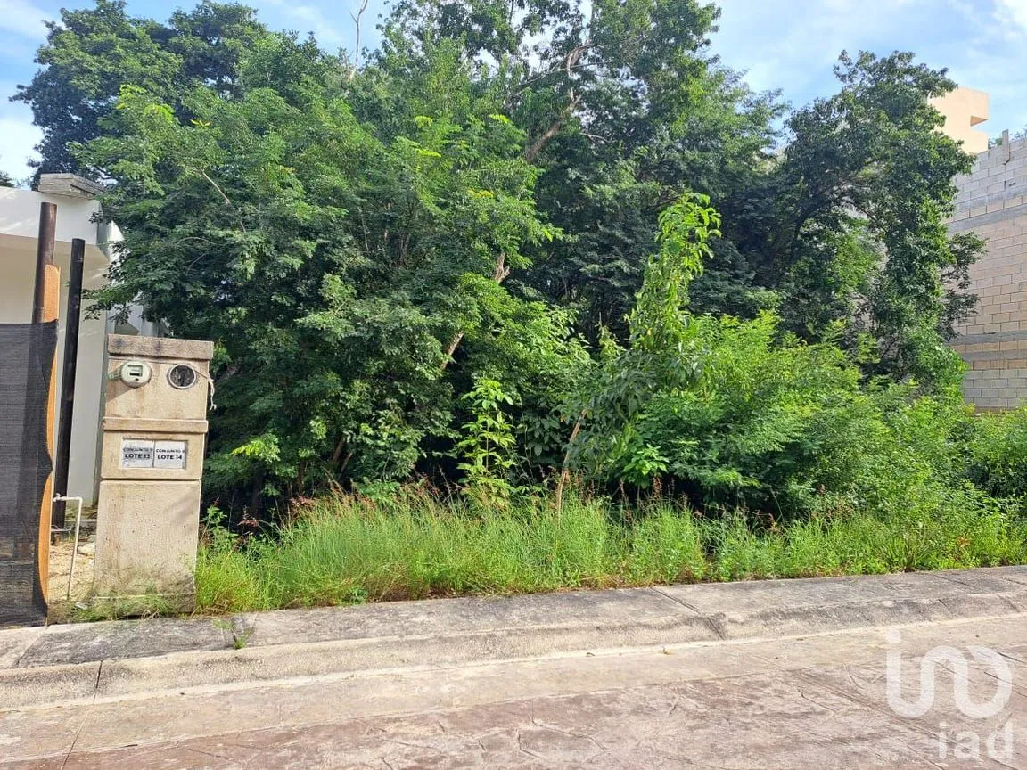 Terreno en Venta en Puerto Morelos, Puerto Morelos, Quintana Roo | NEX-193097 | iad México | Foto 6 de 8