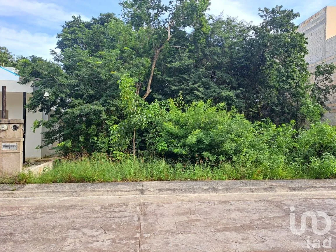 Terreno en Venta en Puerto Morelos, Puerto Morelos, Quintana Roo | NEX-193097 | iad México | Foto 7 de 8