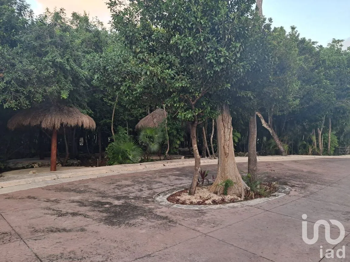 Terreno en Venta en Puerto Morelos, Puerto Morelos, Quintana Roo | NEX-193097 | iad México | Foto 8 de 8