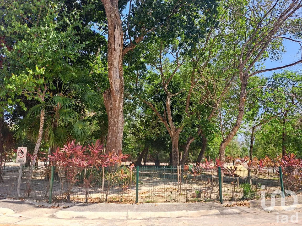 Terreno en Venta en Puerto Morelos, Puerto Morelos, Quintana Roo | NEX-237155 | iad México | Foto 6 de 7