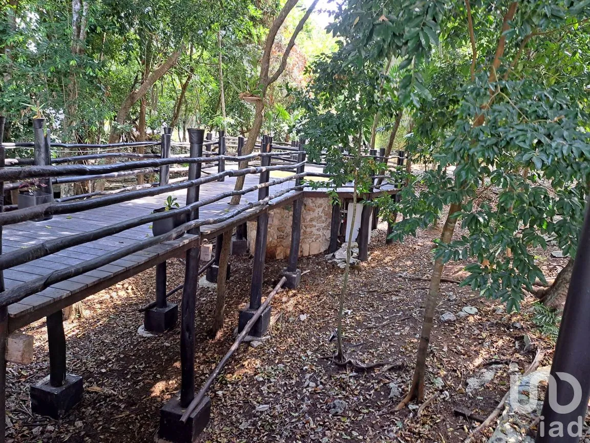 Terreno en Venta en Puerto Morelos, Puerto Morelos, Quintana Roo | NEX-237949 | iad México | Foto 3 de 6