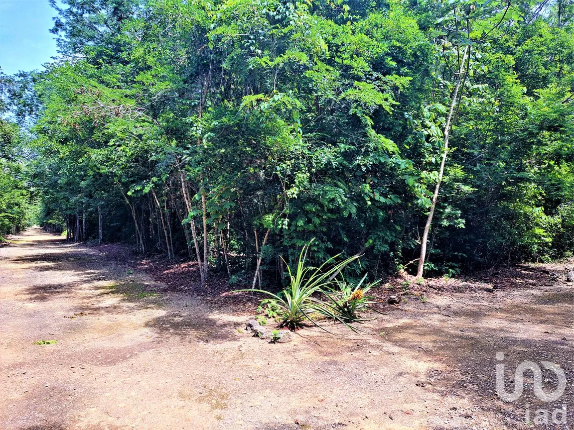 Terreno en Venta en Puerto Morelos, Puerto Morelos, Quintana Roo | NEX-308125 | iad México | Foto 2 de 12