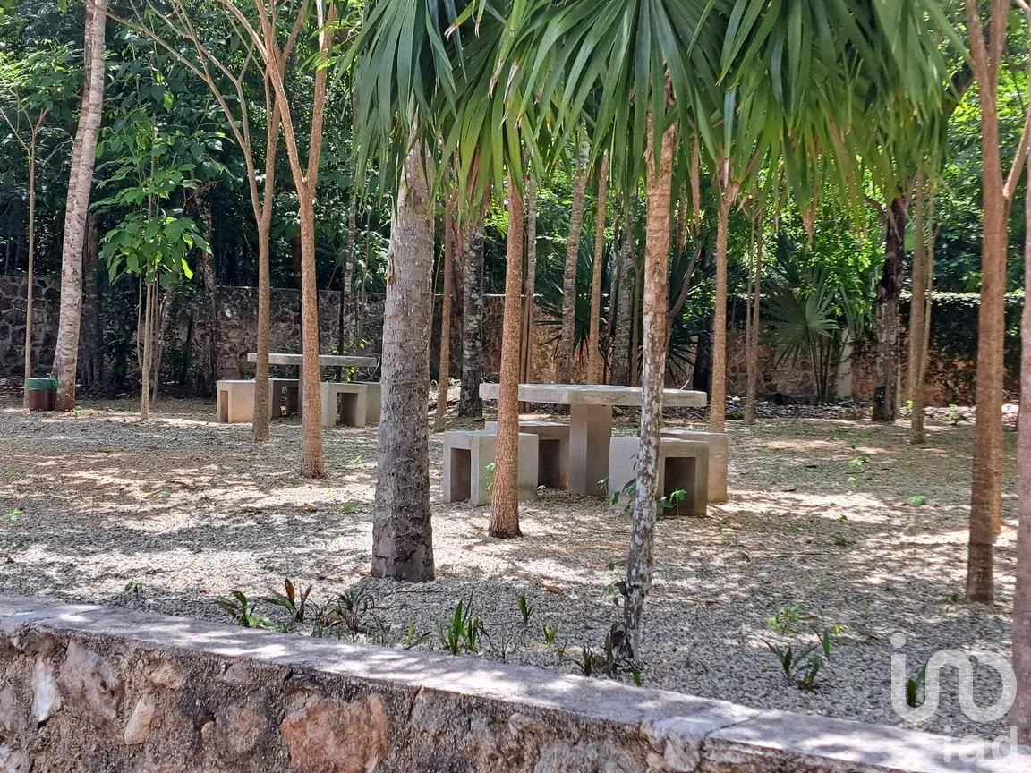Terreno en Venta en Puerto Morelos, Puerto Morelos, Quintana Roo | NEX-308125 | iad México | Foto 11 de 12