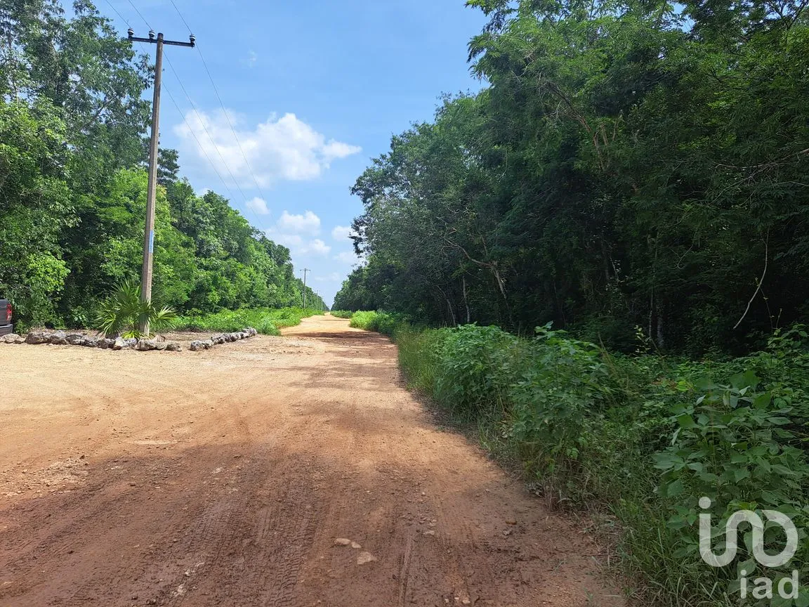 Terreno en Venta en Puerto Morelos, Puerto Morelos, Quintana Roo | NEX-308125 | iad México | Foto 4 de 12