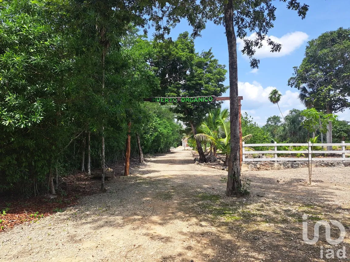 Terreno en Venta en Puerto Morelos, Puerto Morelos, Quintana Roo | NEX-308125 | iad México | Foto 6 de 12