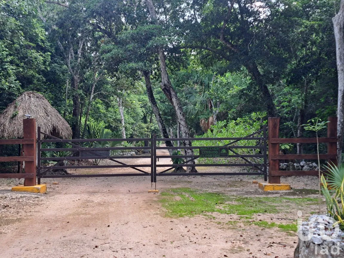 Terreno en Venta en Puerto Morelos, Puerto Morelos, Quintana Roo | NEX-308125 | iad México | Foto 9 de 12