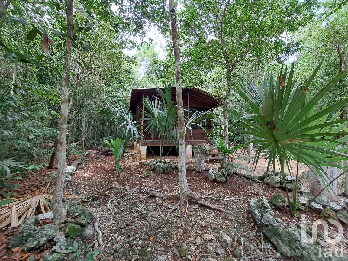 Terreno en Venta en Puerto Morelos, Puerto Morelos, Quintana Roo | NEX-308125 | iad México | Foto 1 de 12
