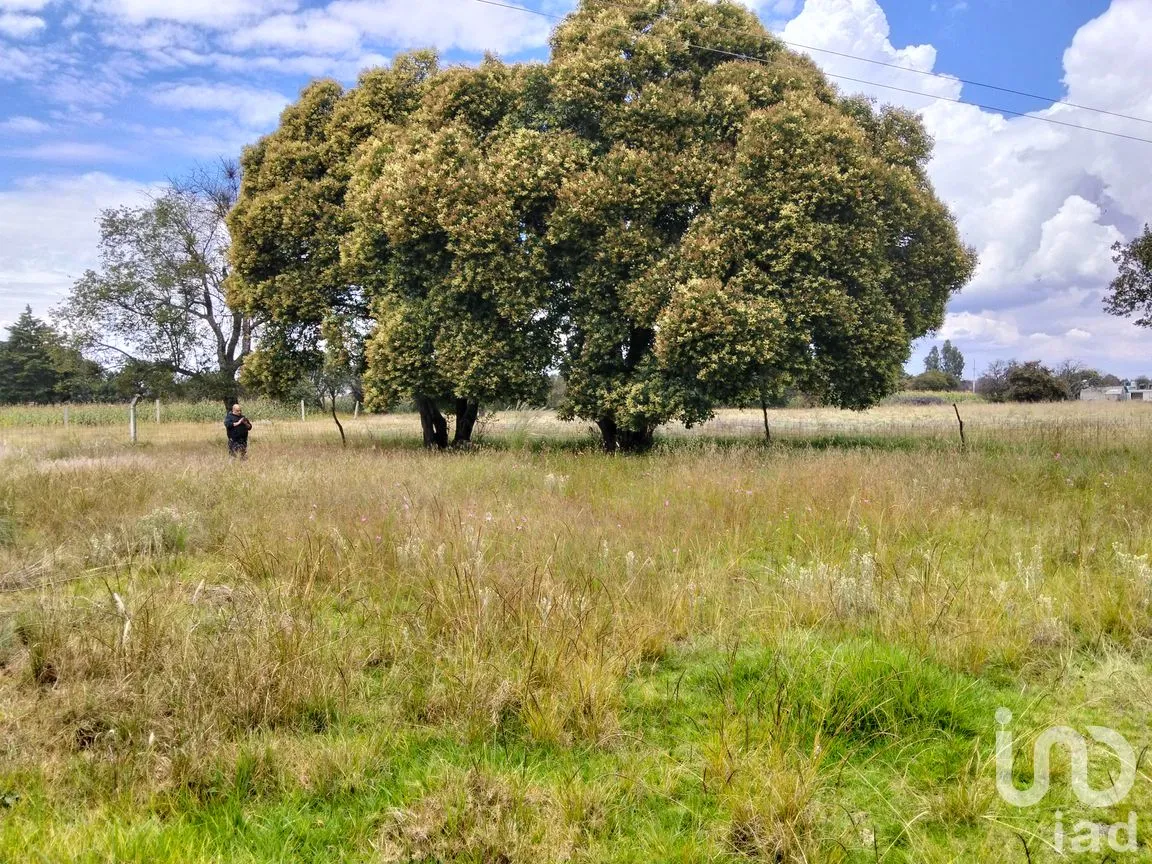 Terreno en Venta en San Dionisio Yauhquemehcan, Yauhquemehcan, Tlaxcala | NEX-264493 | iad México | Foto 2 de 7