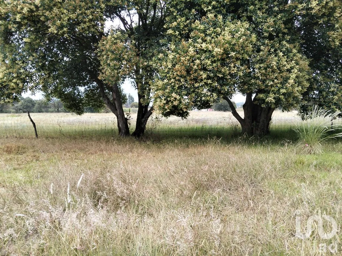 Terreno en Venta en San Dionisio Yauhquemehcan, Yauhquemehcan, Tlaxcala | NEX-264493 | iad México | Foto 5 de 7