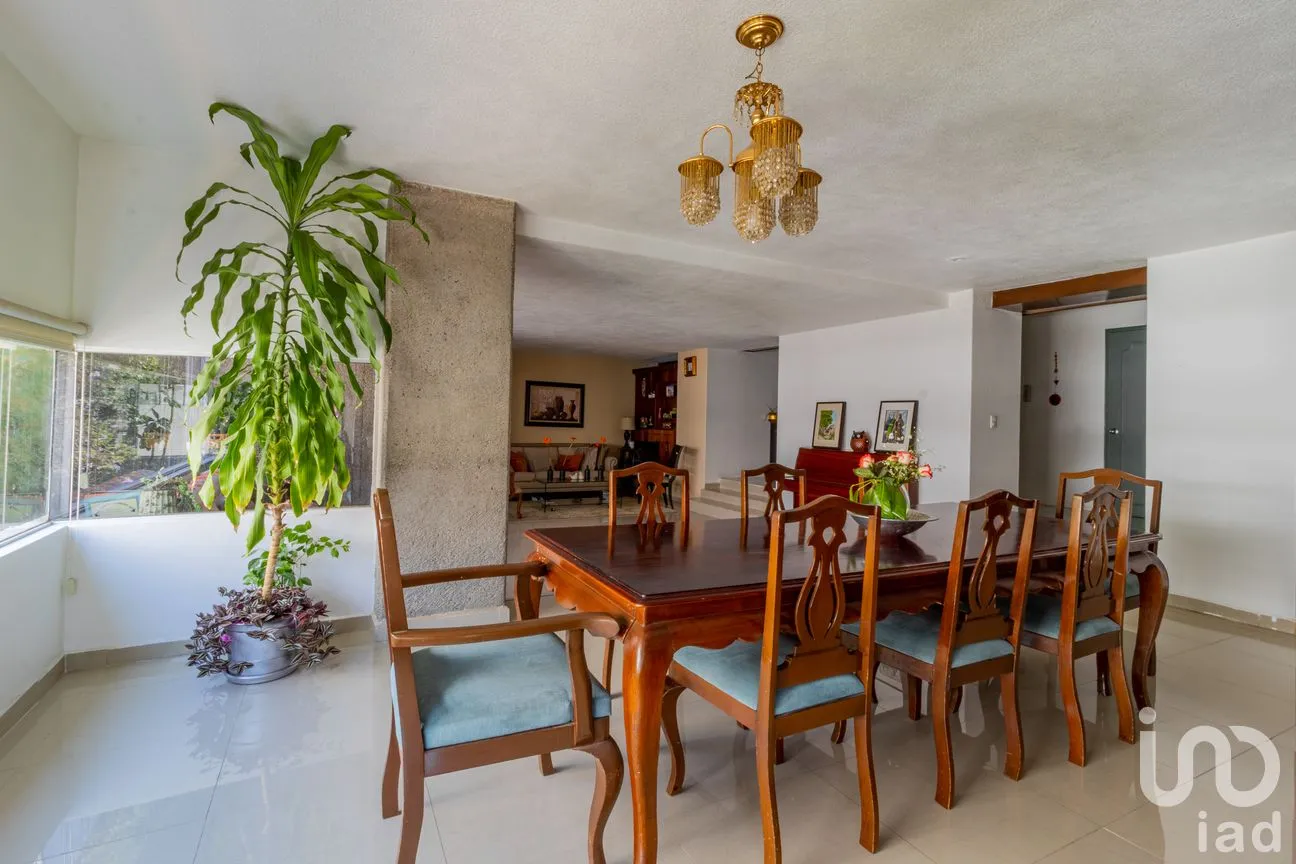 Departamento en Venta en Chapultepec Morales, Miguel Hidalgo, Ciudad de México | NEX-246644 | iad México | Foto 7 de 20