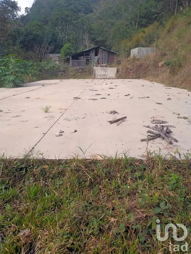 Terreno en Venta en Nuevo San Juan, Villa Corzo, Chiapas | NEX-221471 | iad México | Foto 6 de 11