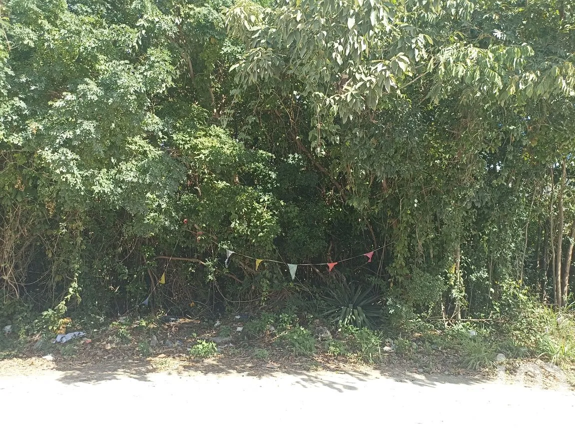 Terreno en Renta en Supermanzana 313, Benito Juárez, Quintana Roo | NEX-187787 | iad México | Foto 3 de 7