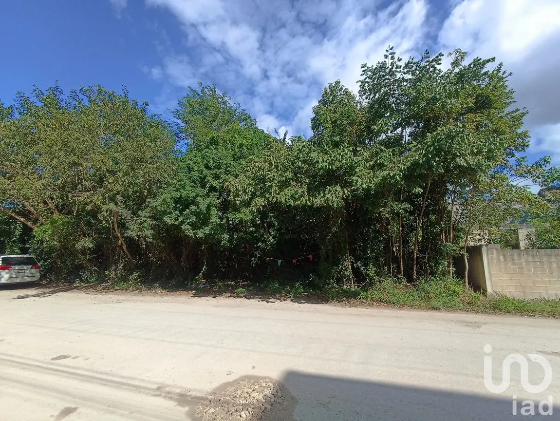 Terreno en Renta en Supermanzana 313, Benito Juárez, Quintana Roo | NEX-187787 | iad México | Foto 7 de 7