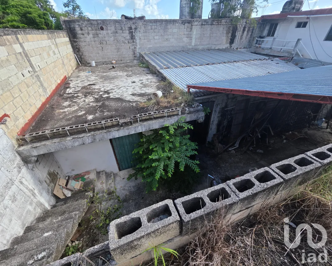 Bodega en Venta en Supermanzana 92, Benito Juárez, Quintana Roo | NEX-286130 | iad México | Foto 5 de 13