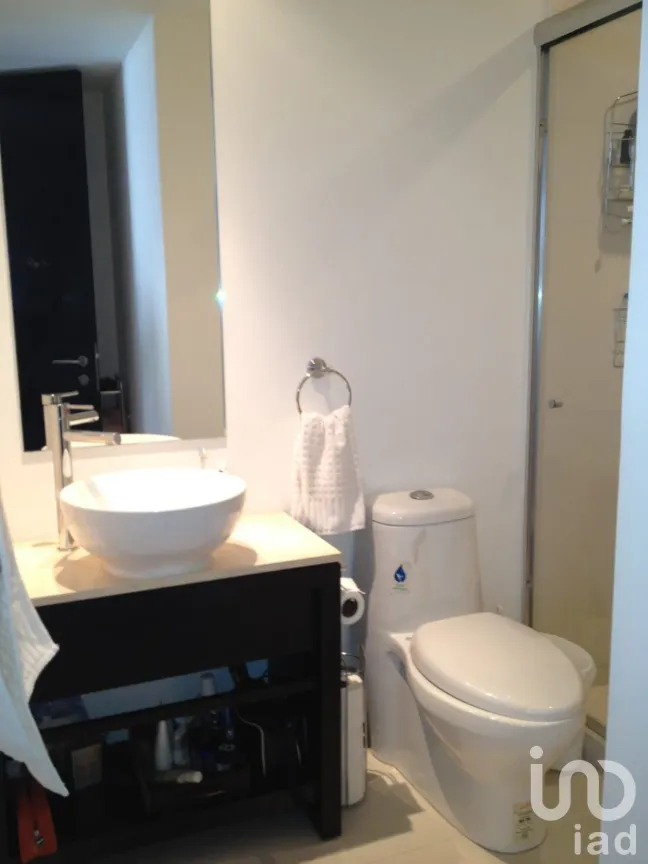 Departamento en Venta en Granada, Miguel Hidalgo, Ciudad de México | NEX-176234 | iad México | Foto 12 de 20