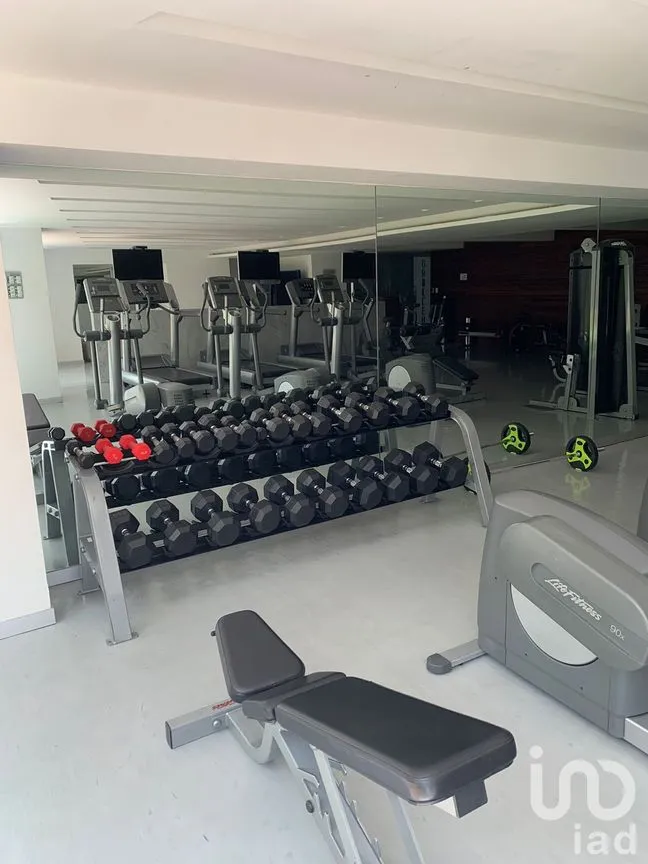 Departamento en Venta en Polanco IV Sección, Miguel Hidalgo, Ciudad de México | NEX-184842 | iad México | Foto 19 de 19