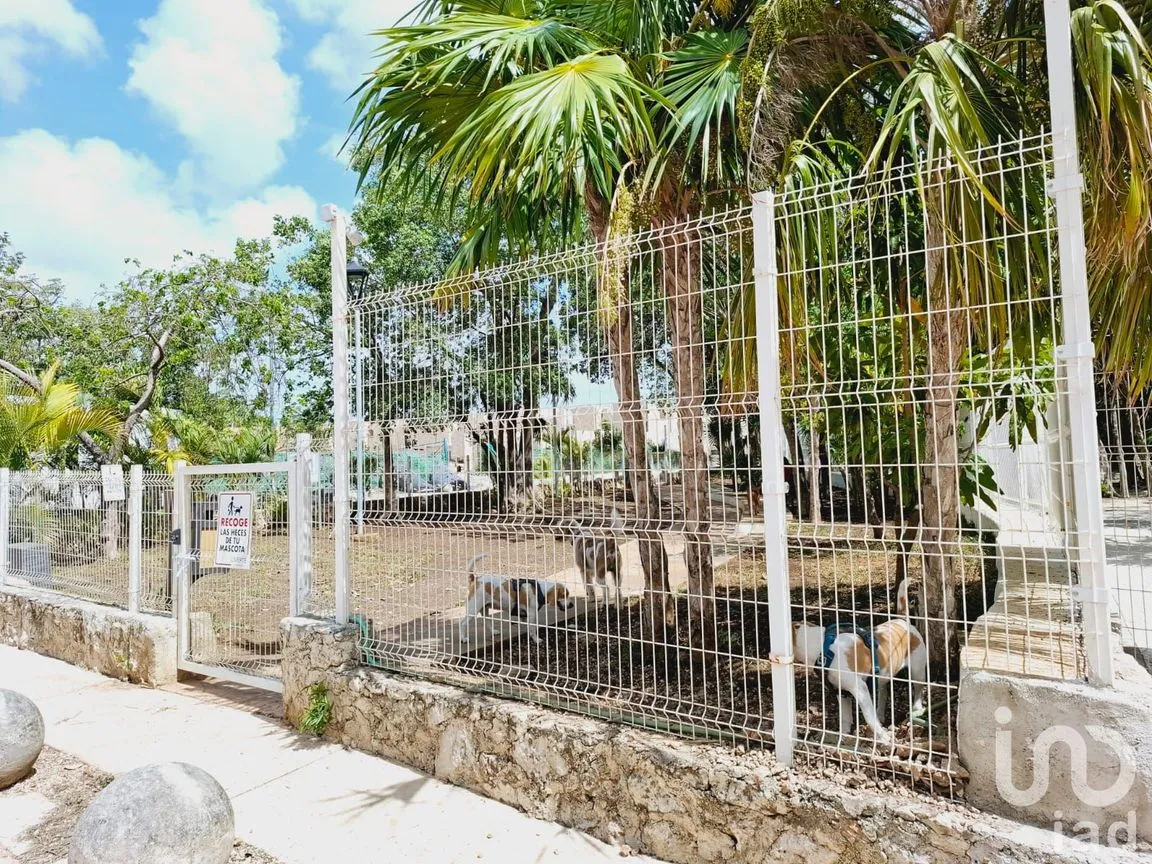 Departamento en Venta en Supermanzana 511, Benito Juárez, Quintana Roo | NEX-244973 | iad México | Foto 4 de 13