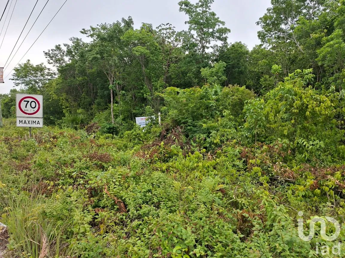 Terreno en Venta en Cancún Centro, Benito Juárez, Quintana Roo | NEX-303922 | iad México | Foto 7 de 8