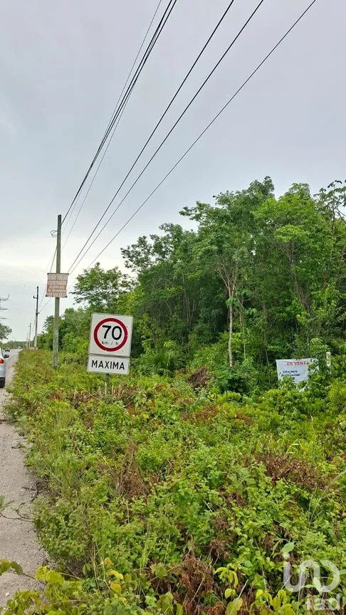 Terreno en Venta en Cancún Centro, Benito Juárez, Quintana Roo | NEX-303922 | iad México | Foto 8 de 8