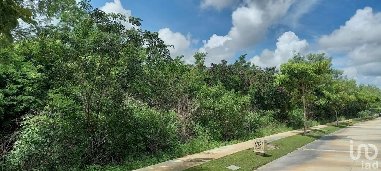 Terreno en Venta en Yucatán Country Club, Mérida, Yucatán | NEX-206931 | iad México | Foto 10 de 12