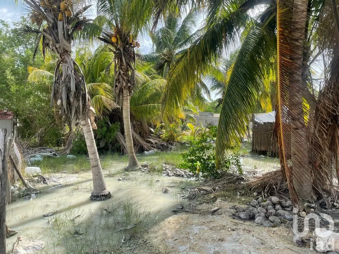 Terreno en Venta en Isla de Holbox, Lázaro Cárdenas, Quintana Roo | NEX-216946 | iad México | Foto 4 de 10