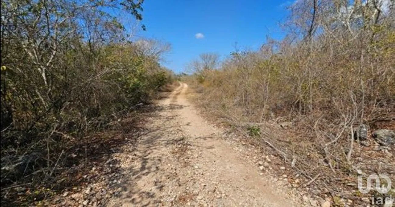 Terreno en Venta en Yaxkukul, Yaxkukul, Yucatán | NEX-216948 | iad México | Foto 5 de 6