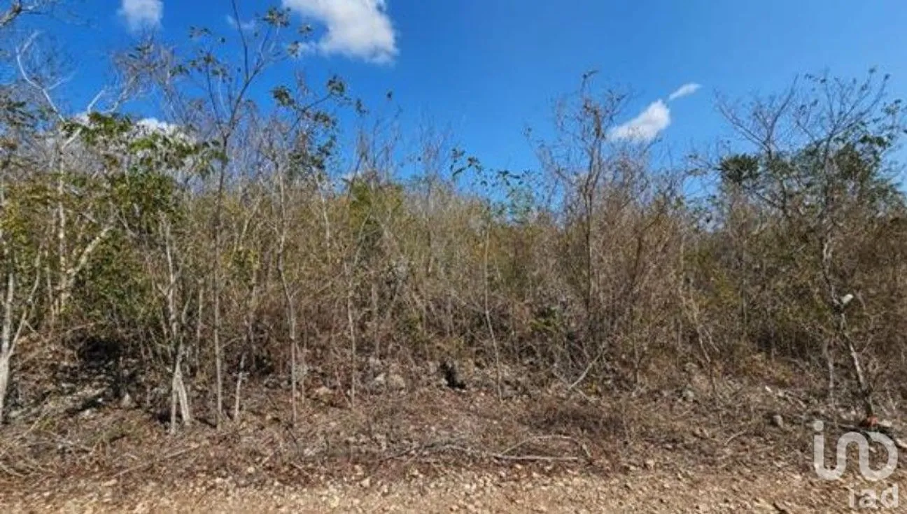 Terreno en Venta en Yaxkukul, Yaxkukul, Yucatán | NEX-216948 | iad México | Foto 6 de 6