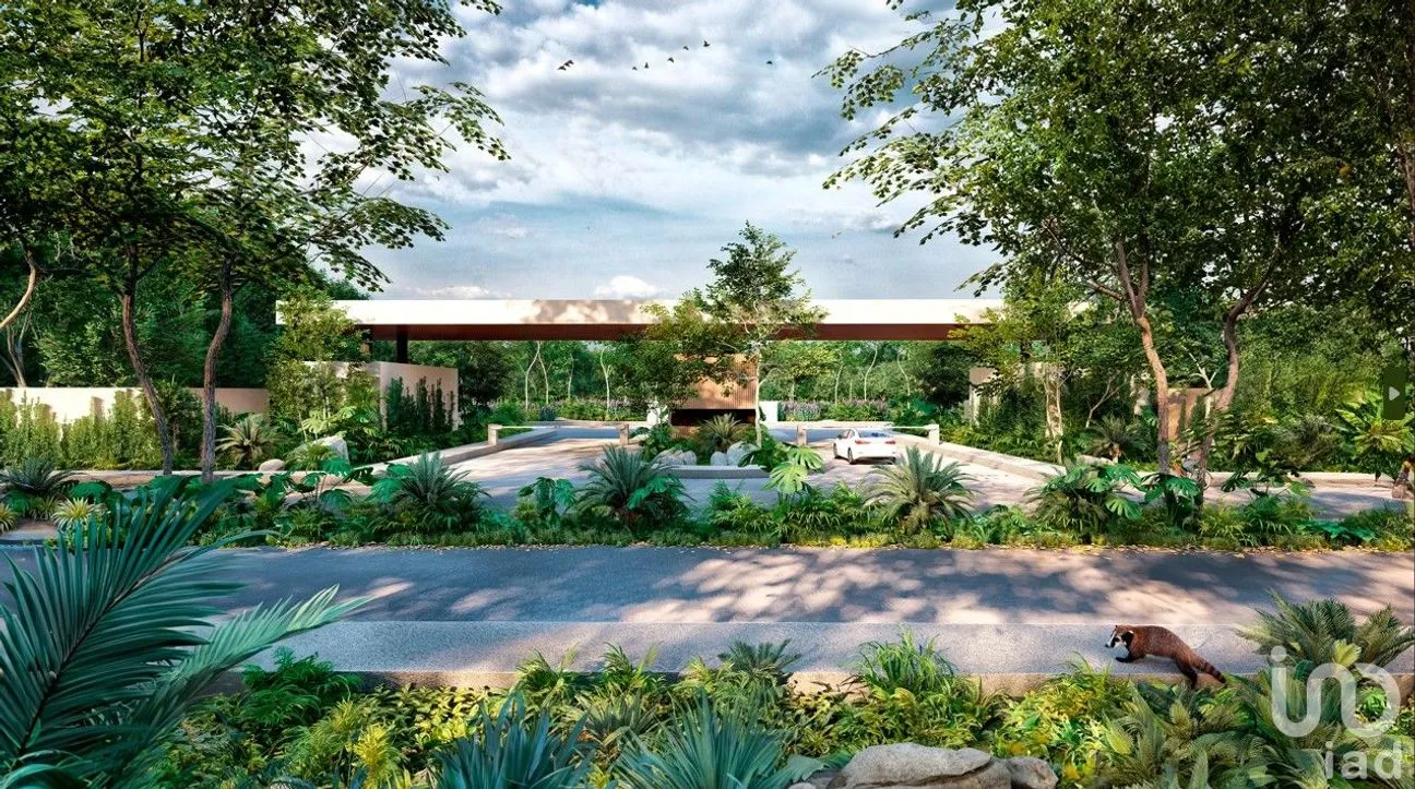 Terreno en Venta en Cancún (Internacional de Cancún), Benito Juárez, Quintana Roo | NEX-257861 | iad México | Foto 2 de 12