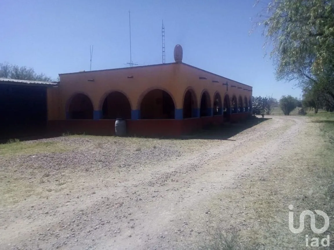 Rancho en Venta en El Llano [CERESO], El Llano, Aguascalientes | NEX-187214 | iad México | Foto 23 de 29