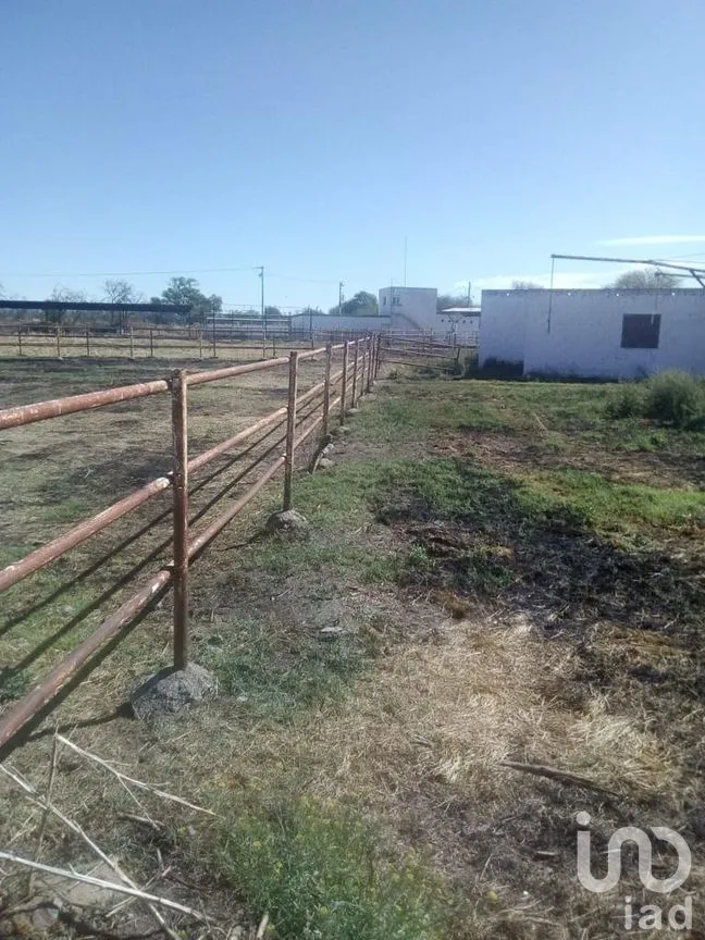 Rancho en Venta en El Llano [CERESO], El Llano, Aguascalientes | NEX-187214 | iad México | Foto 11 de 29