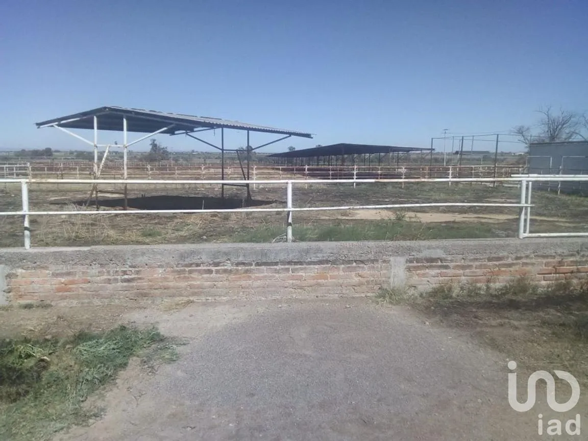 Rancho en Venta en El Llano [CERESO], El Llano, Aguascalientes | NEX-187214 | iad México | Foto 15 de 29