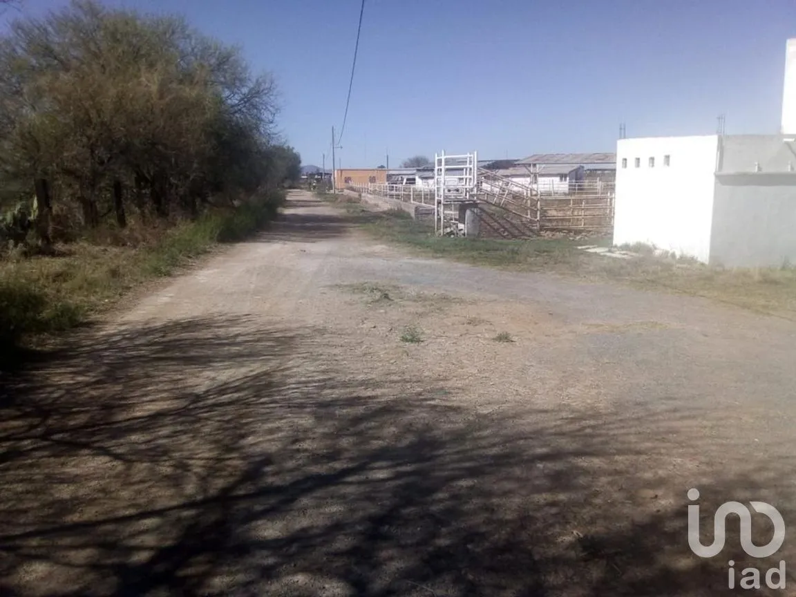 Rancho en Venta en El Llano [CERESO], El Llano, Aguascalientes | NEX-187214 | iad México | Foto 17 de 29