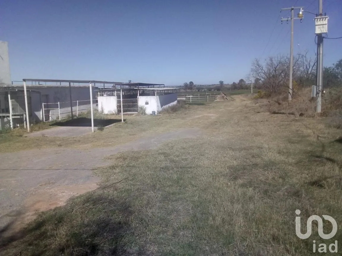 Rancho en Venta en El Llano [CERESO], El Llano, Aguascalientes | NEX-187214 | iad México | Foto 18 de 29
