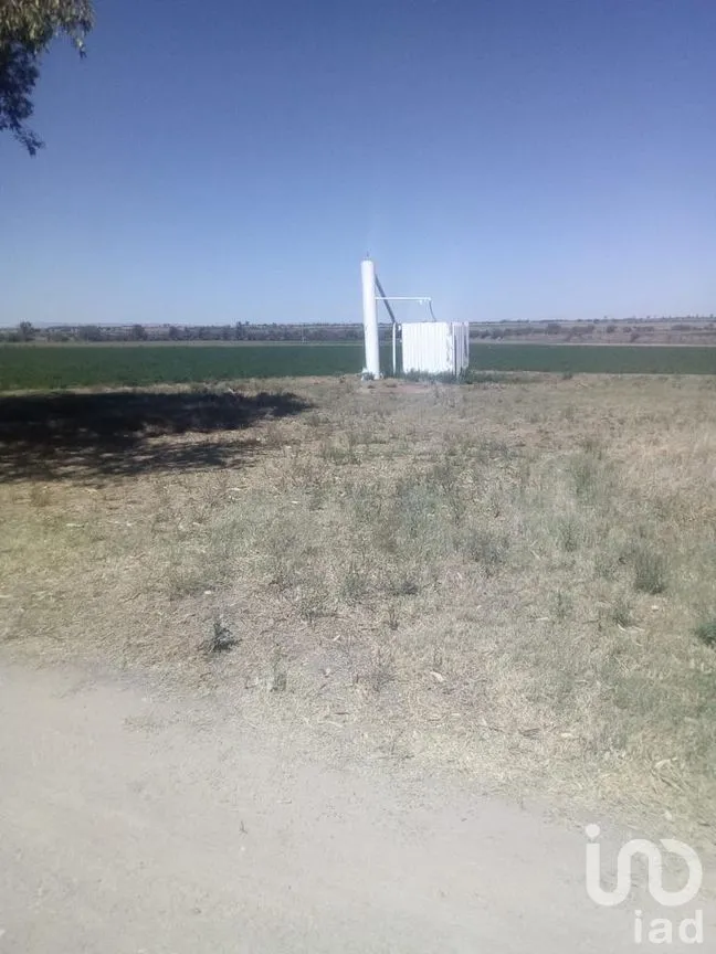 Rancho en Venta en El Llano [CERESO], El Llano, Aguascalientes | NEX-187214 | iad México | Foto 19 de 29