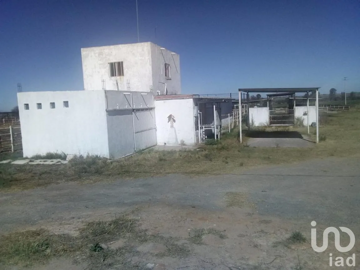 Rancho en Venta en El Llano [CERESO], El Llano, Aguascalientes | NEX-187214 | iad México | Foto 20 de 29
