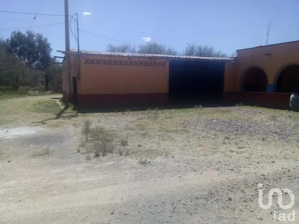 Rancho en Venta en El Llano [CERESO], El Llano, Aguascalientes | NEX-187214 | iad México | Foto 22 de 29