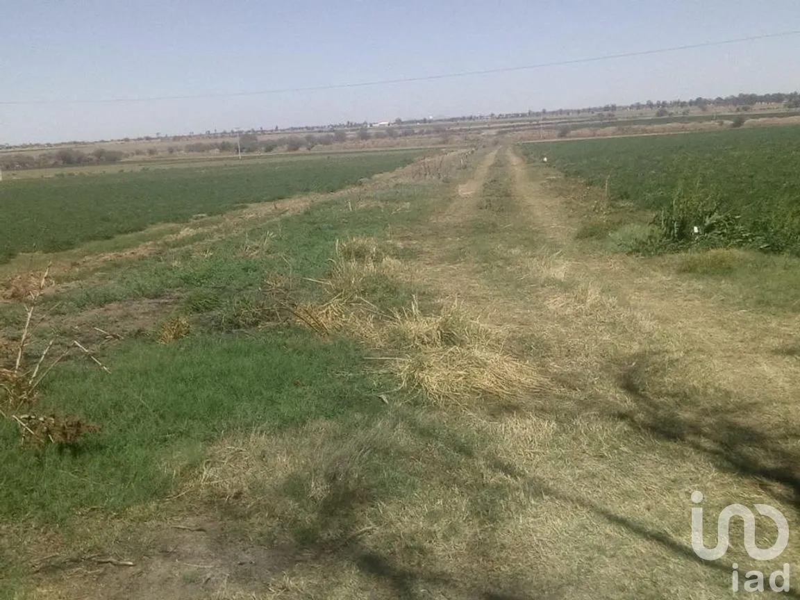 Rancho en Venta en El Llano [CERESO], El Llano, Aguascalientes | NEX-187214 | iad México | Foto 26 de 29