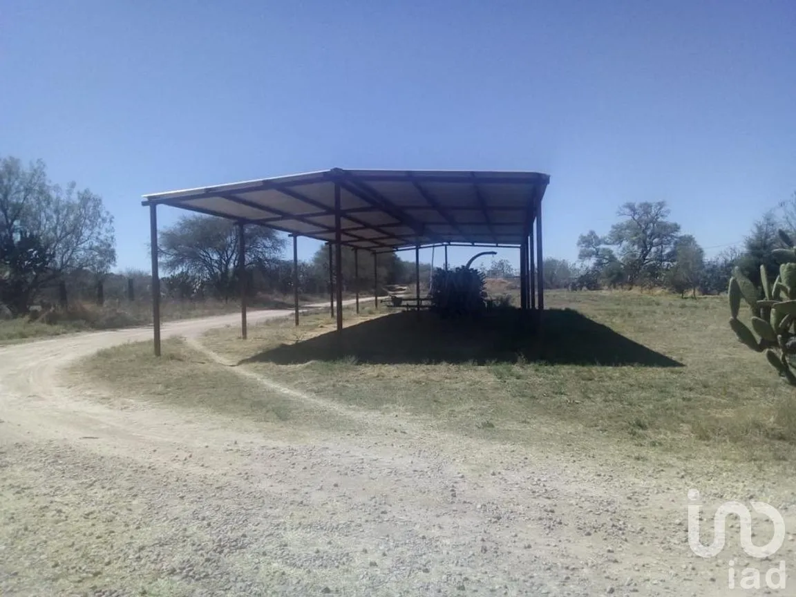 Rancho en Venta en El Llano [CERESO], El Llano, Aguascalientes | NEX-187214 | iad México | Foto 27 de 29