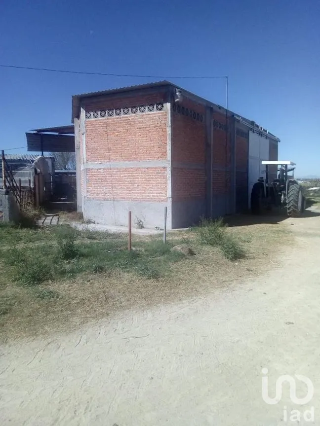 Rancho en Venta en El Llano [CERESO], El Llano, Aguascalientes | NEX-187214 | iad México | Foto 6 de 29