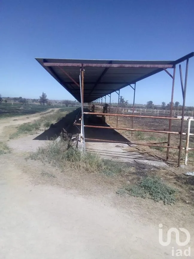 Rancho en Venta en El Llano [CERESO], El Llano, Aguascalientes | NEX-187214 | iad México | Foto 7 de 29